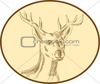 Red Stag Deer Head Circle Etching