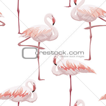 Pink flamingo seamless pattern