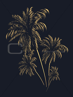 Palm trees in contours