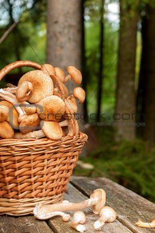Basket with mushrooms on the table