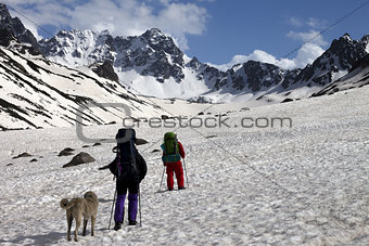 Two hikers with dog in spring snowy mountains
