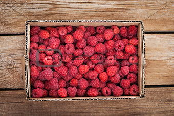 Fresh organic ripe raspberry in box