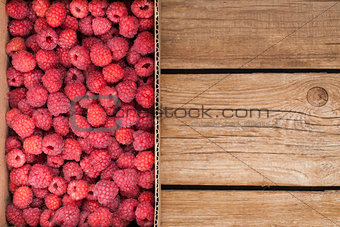 Fresh organic ripe raspberry in box