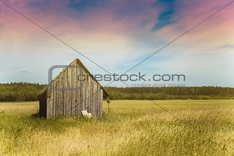 Old village house in a field