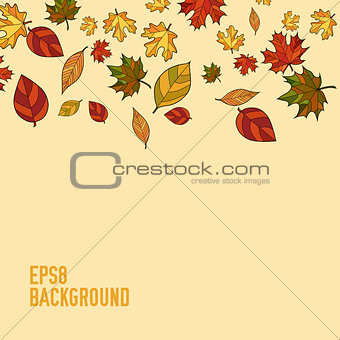 abstract vector doodle autumn leaves background