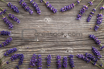 Lavender flowers on a wooden background. Floral border or frame 
