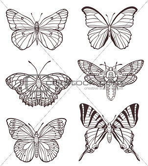 Set of hand drawn butterflies