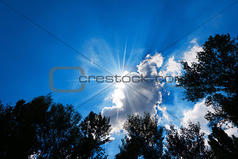 Silhouette of Trees on Blue Sky with Clouds