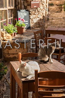 Cats on Restaurant Table Momenvasia, Greece