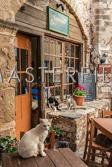 Cats at Restaurant Along Main Street of Monemvasia
