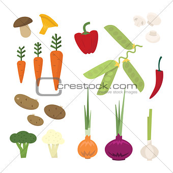 Fresh vegetables from the garden