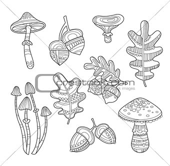 Black and White Acorns, Leaves, Berries, Handdrawn Style. Vector illustration.