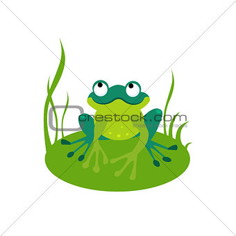 Green Cartoon Frog Vector Illustration