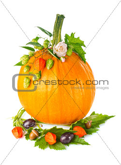 Thanksgiving day composition of pumpkin with fruit flower and  green leaf.