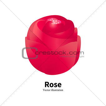 Vector illustration of a red rose bud with pollen
