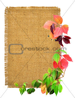 Branches and burlap