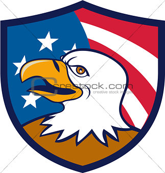 Bald Eagle Smiling USA Flag Crest Cartoon