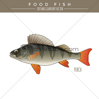 Perch, Food Fish