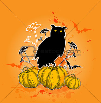 Black owl and pumpkins. 