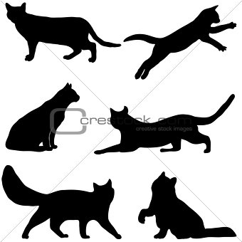 Cats collection - vector silhouette