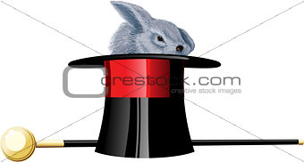 Magick hat rabbit