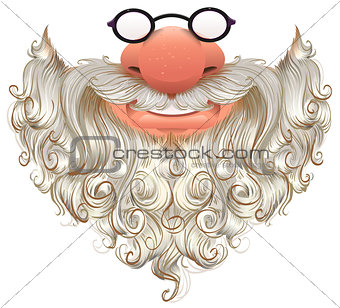 Santa mask. White beard, glasses and nose