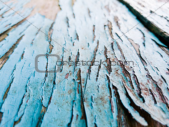 texture of wood with old color blue background