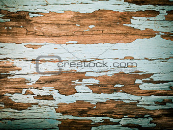 rustic wood background with old color