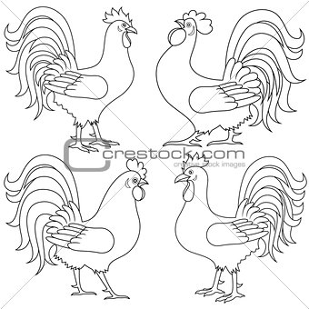Set of four Rooster outlines