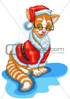 Cat Santa Claus. Christmas illustration