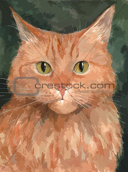 Portrait of the red cat. Watercolor background