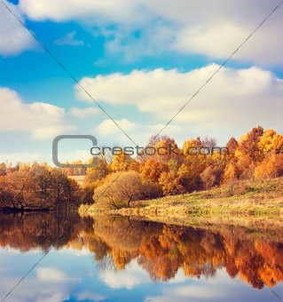 Autumn Landscape. Yellow Trees, Blue Sky and Lake.