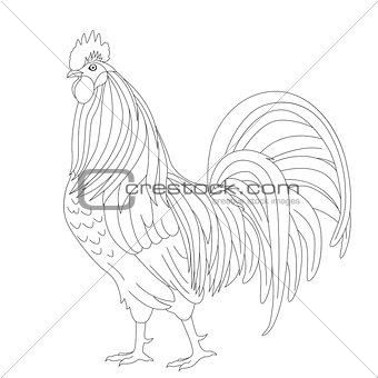 Proud Rooster Outline