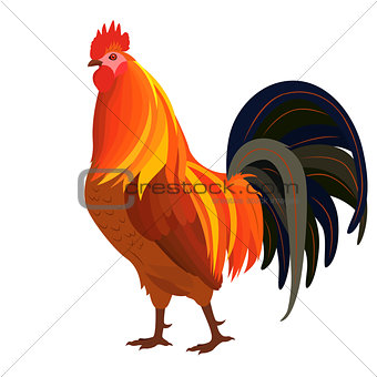 Proud Red Rooster