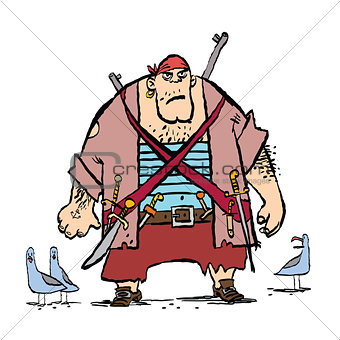 Huge funny pirate and seagulls