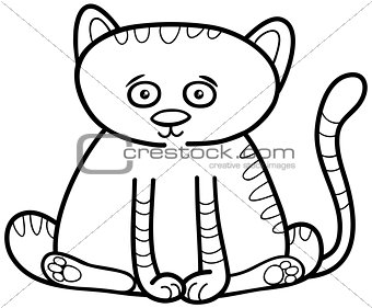 cat or kitten coloring page