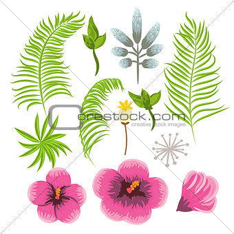 Set of exotic tropical flowers and palm leaves.