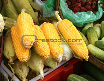 Fresh corn on the morning chinese market in Yangon, Myanmar