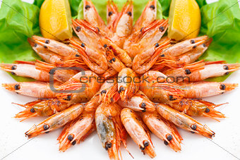 Fried shrimps on a plate