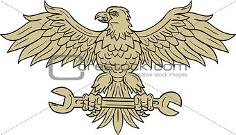 American Eagle Clutching Spanner Drawing