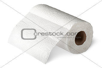 Roll white paper towels horizontally unrolled