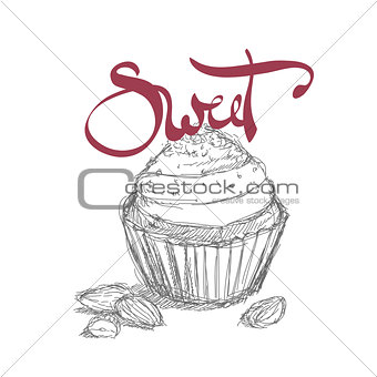 sweet cupcake illustration