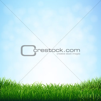 Grass With Blue Sky