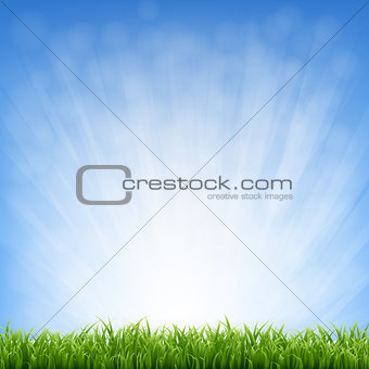 Grass With Blue Sky And Grass Border