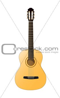 acoustic classical guitar in color