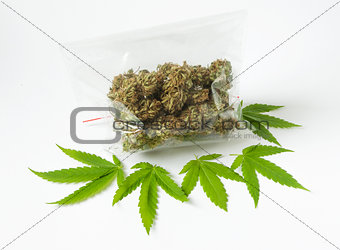 cannabis marijunana medicine dose bag green leaves