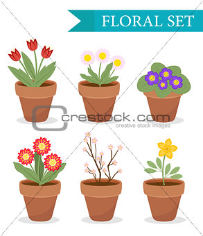 Flower pot with different flowers set, flat style. Flowerpot Collection isolated on white background. Vector illustration, clip art.