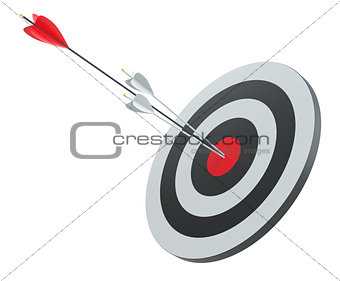 Arrow hit the center of red target