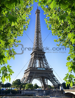 Eiffel Tower and nature