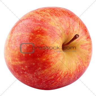 Single fresh red yellow apple isolated on white